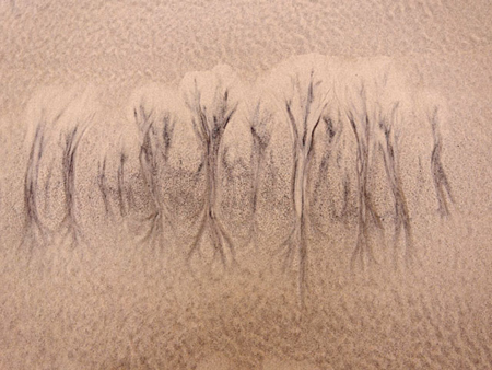 © Heiner Leiska