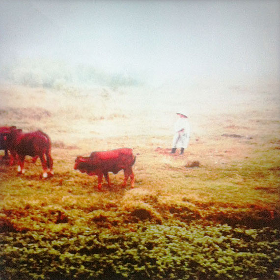 Sabine Wild: Vietnam_1365, 2012