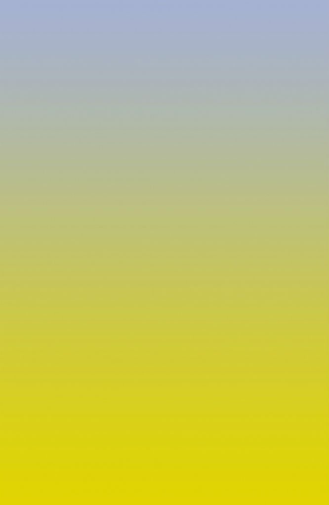 Stefan Heyne_SEAT 4A_2013_C Print auf Alu Dibond_130x200cm