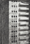 Rik de Boe o.T., 2013, Kohle auf Papier, 76,5 x 53,5 cm